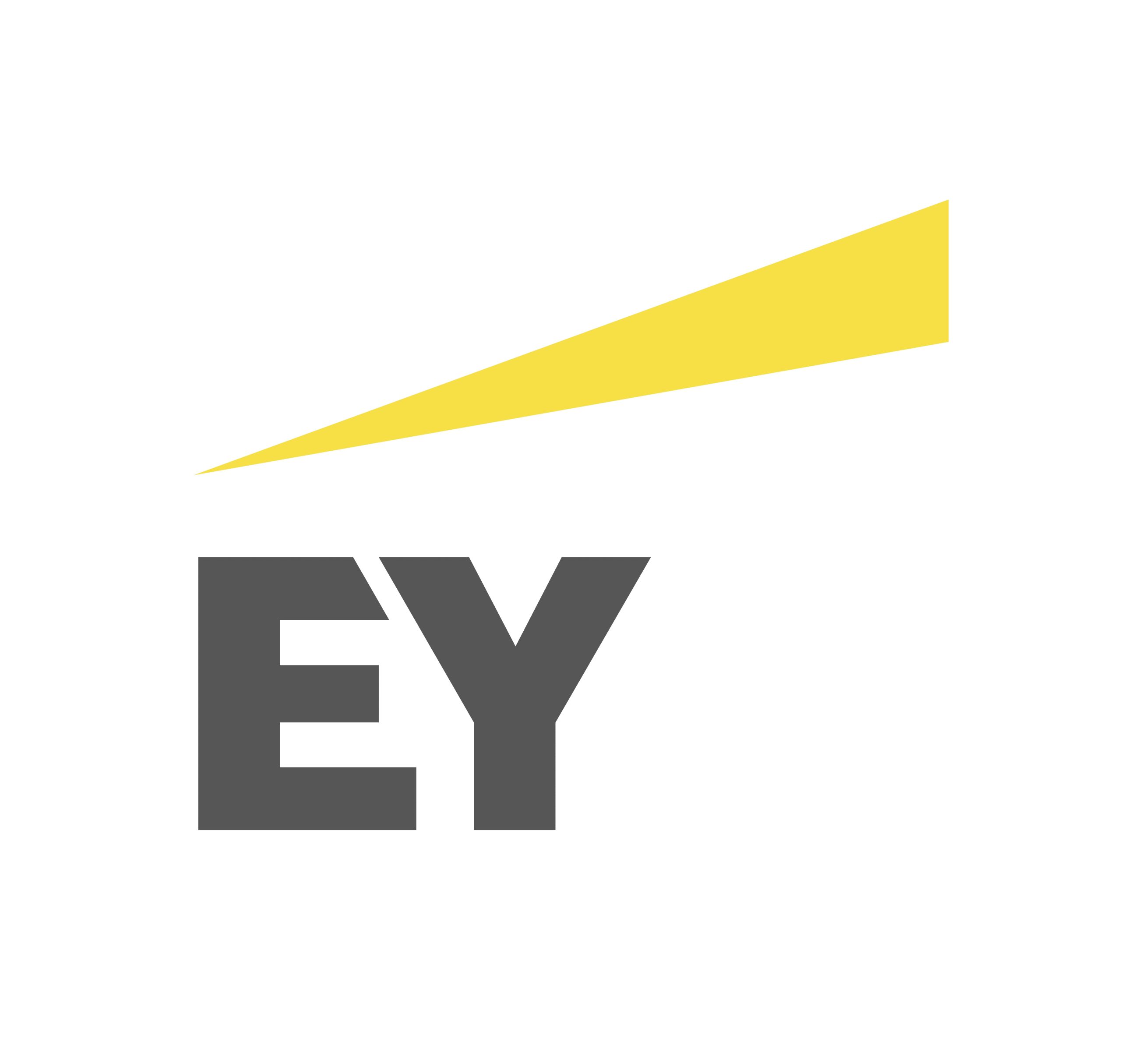 ERNST-YOUNG